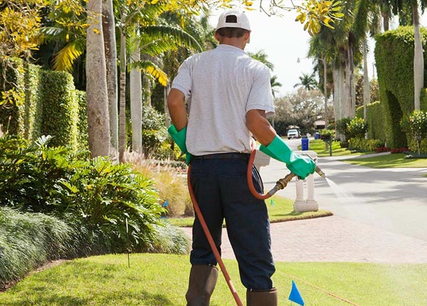 About Tipton IA Pest Control
